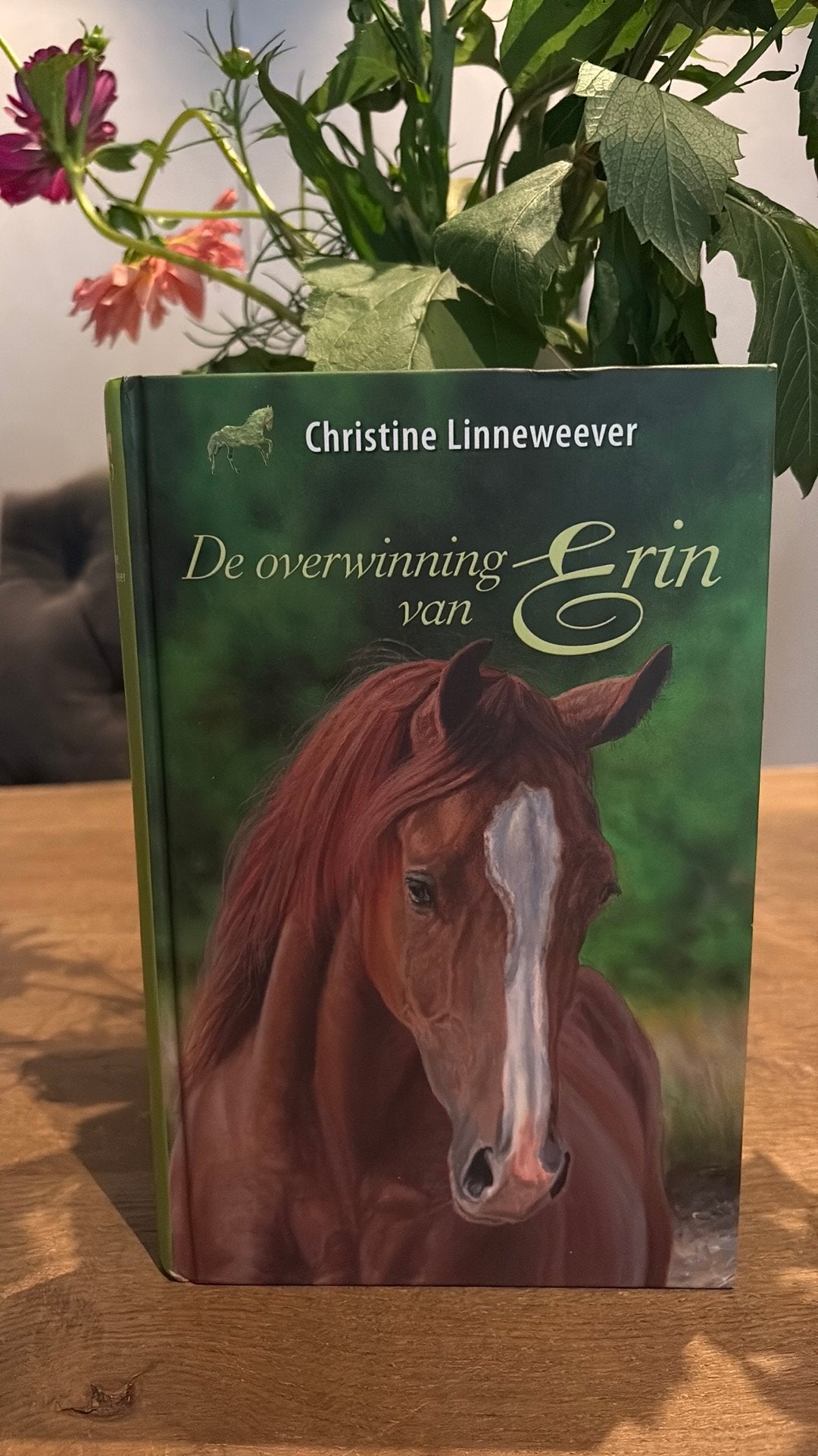 Christine Linneweever - De overwinning van Erin, Ophalen of Verzenden, Zo goed als nieuw, Christine Linneweever
