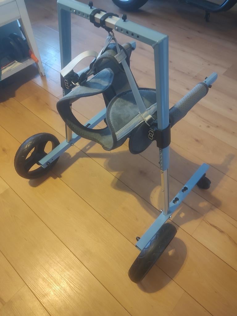 honden rolstoel  voorpoten, Diversen, Rollators, Ophalen of Verzenden
