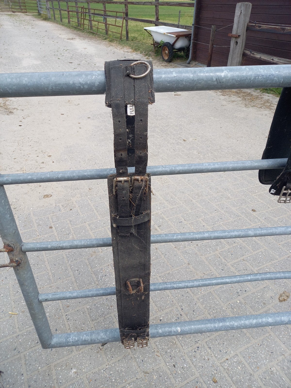 longeersingel paard, Dieren en Toebehoren, Ophalen