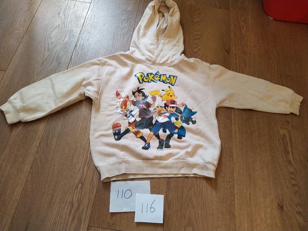 Pokémon trui - hoodie maat 110 / 116, Kinderen en Baby's, Kinderkleding | Maat 110, Ophalen of Verzenden, Gebruikt, Jongen of Meisje