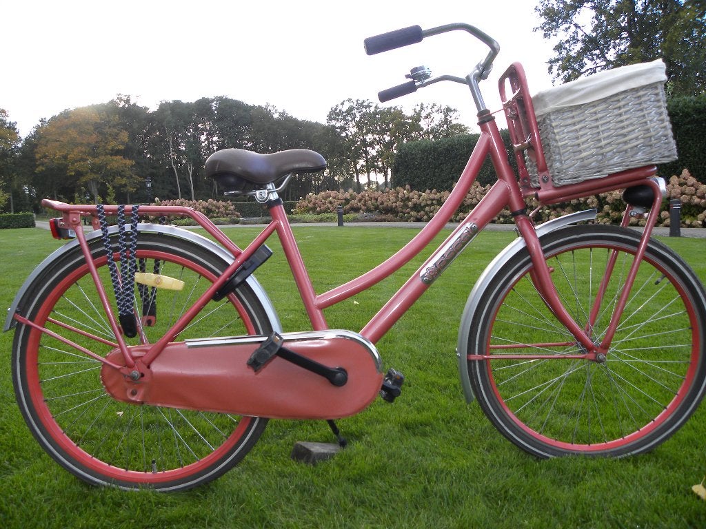 mooie 24'' popal  meisjesfiets, Ophalen, Terugtraprem, Handrem, Popal