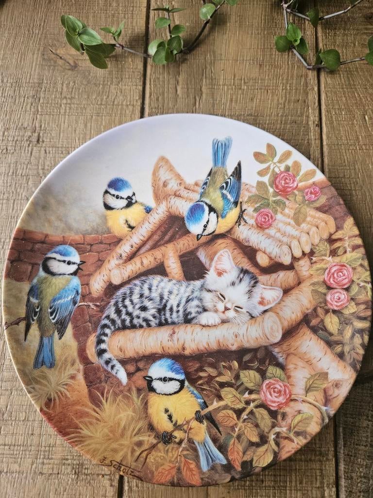 Wandbord Kat in Vogelhuisje - Decoratief Porselein, Ophalen of Verzenden