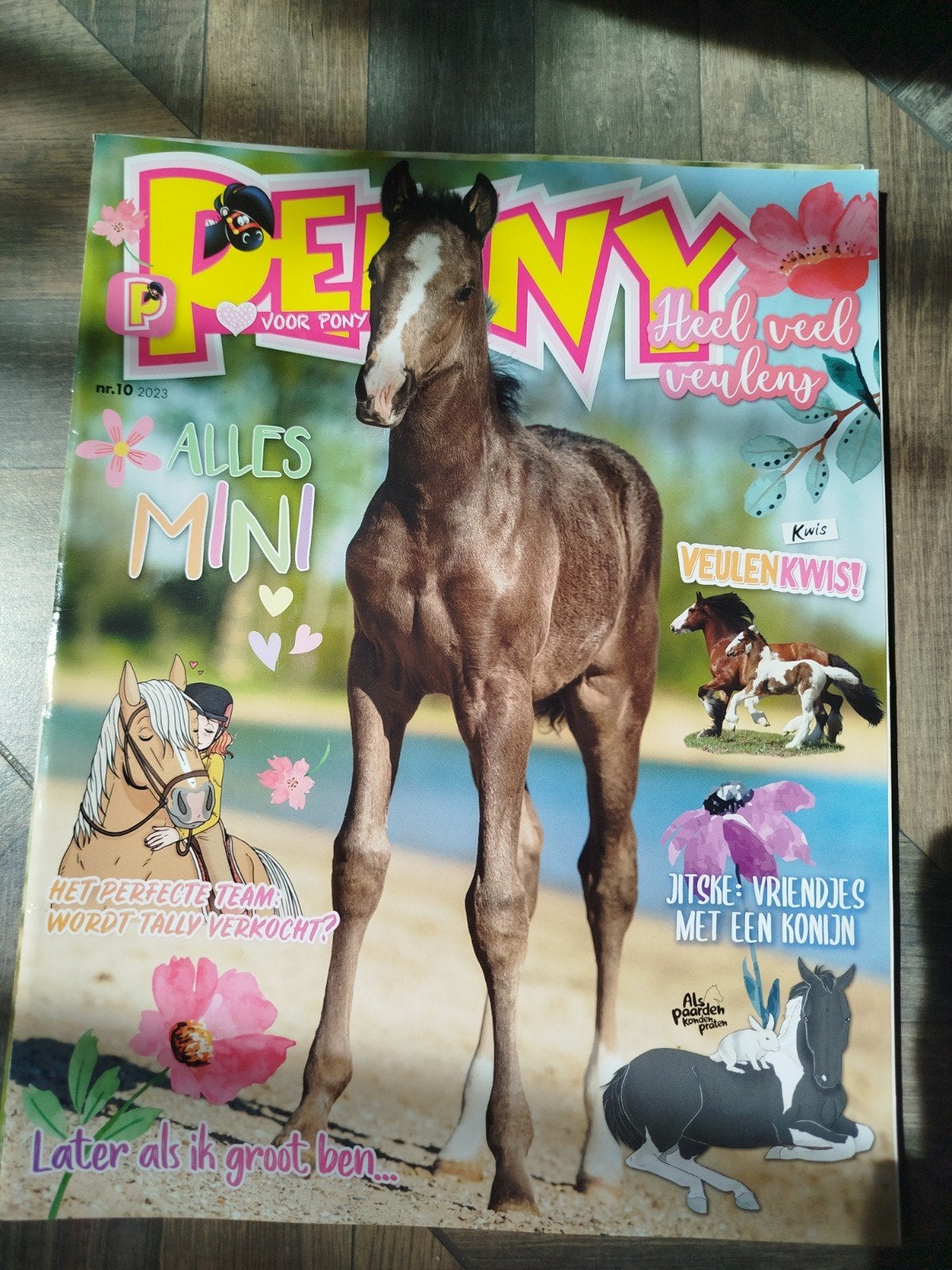 Penny tijdschriften - diverse edities, Boeken, Ophalen of Verzenden, Gelezen, Overige typen