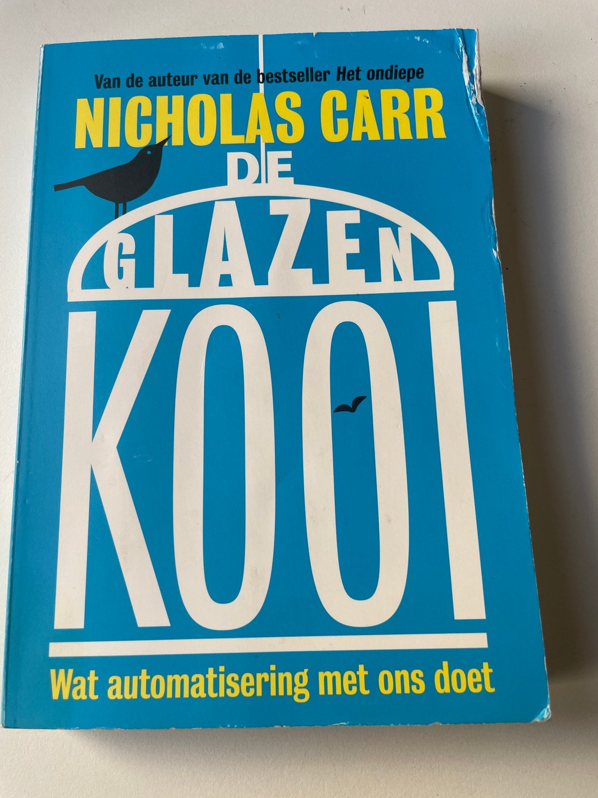 De Glazen Kooi - Nicholas Carr (Wat automatisering met ons d, Ophalen of Verzenden, Gelezen, Nederland