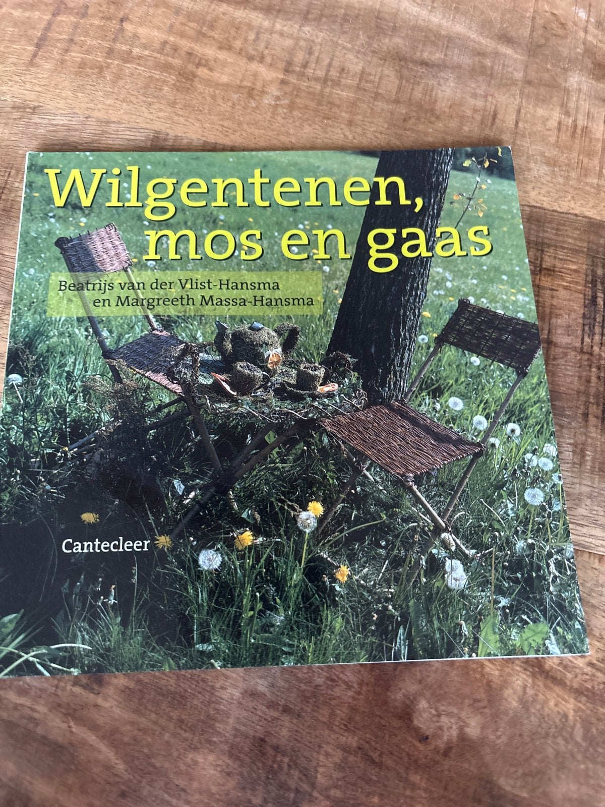 Wilgentenen, mos en gaas - Decoreren met natuurlijke materia, Ophalen of Verzenden, Zo goed als nieuw