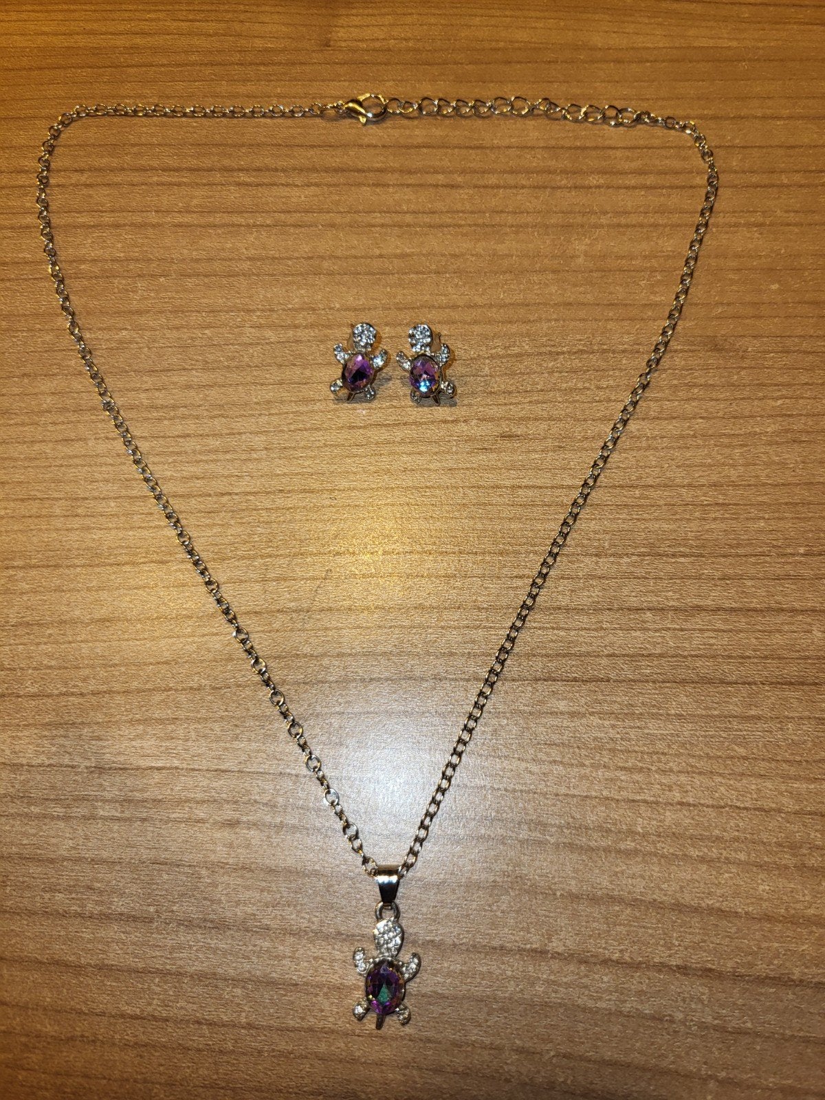 Nieuwe ketting en oorbellen set met schildpad hanger, Sieraden, Tassen en Uiterlijk, Kettingen, Overige materialen, Nieuw, Ophalen of Verzenden