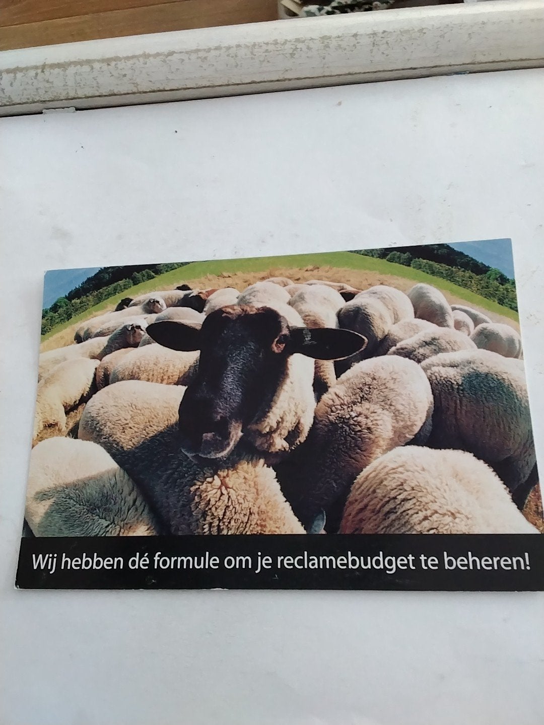 Grappige reclamekaart met schapen - 'Wij beheren je budget', Verzamelen, Ophalen of Verzenden, 1980 tot heden, Gelopen