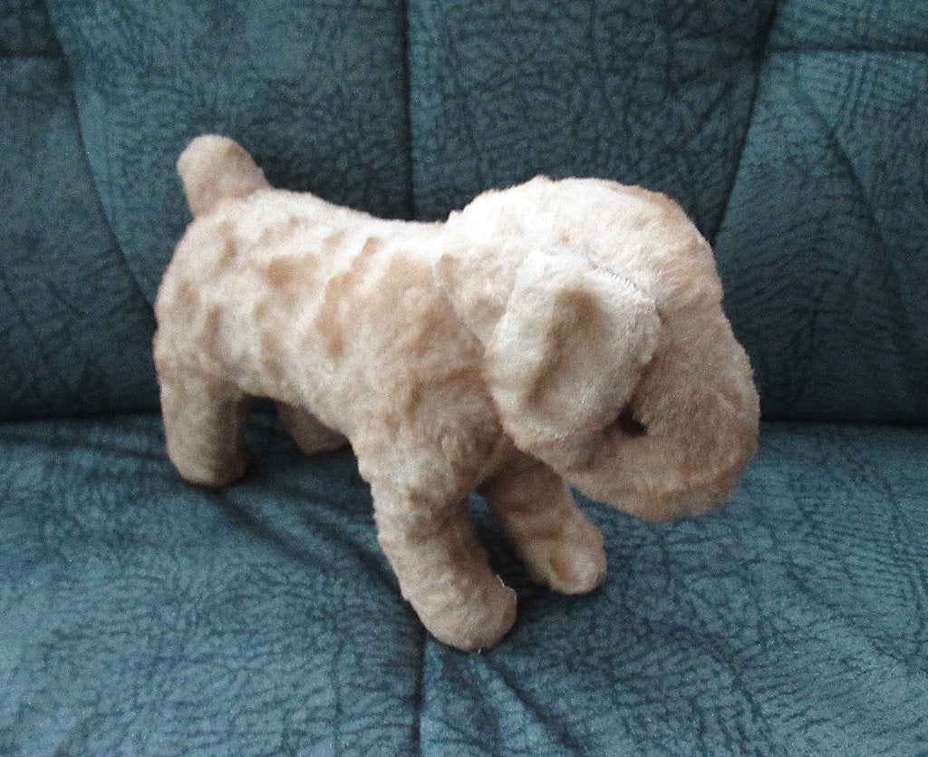Hans, oude Fox Terrier Hans., Ophalen of Verzenden, Gebruikt, Overige typen, Overige merken