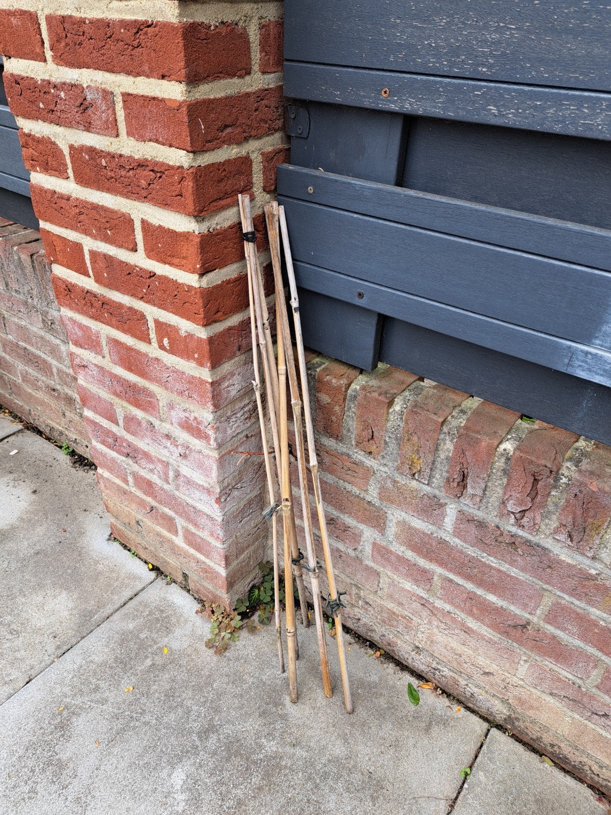 6 bamboestokken, Ophalen of Verzenden, Minder dan 180 cm, Palen