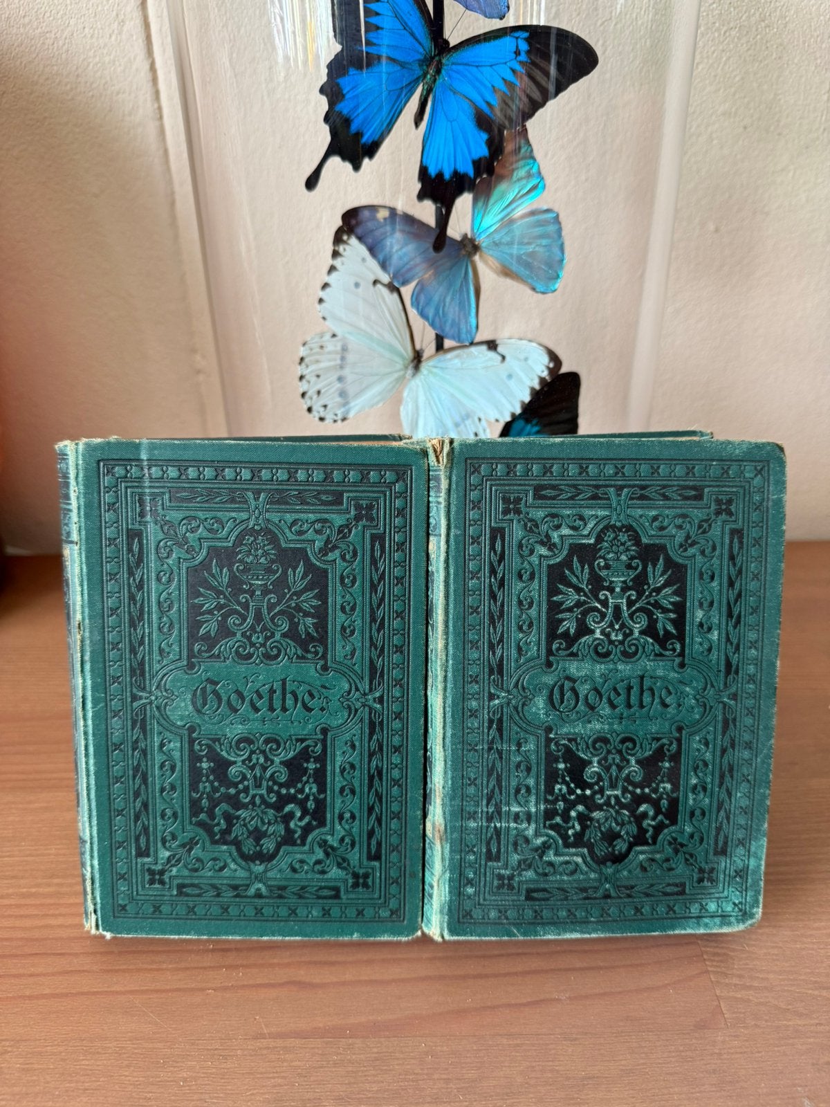 Goethe’s Werke 19e eeuws, Antiek en Kunst, Ophalen of Verzenden