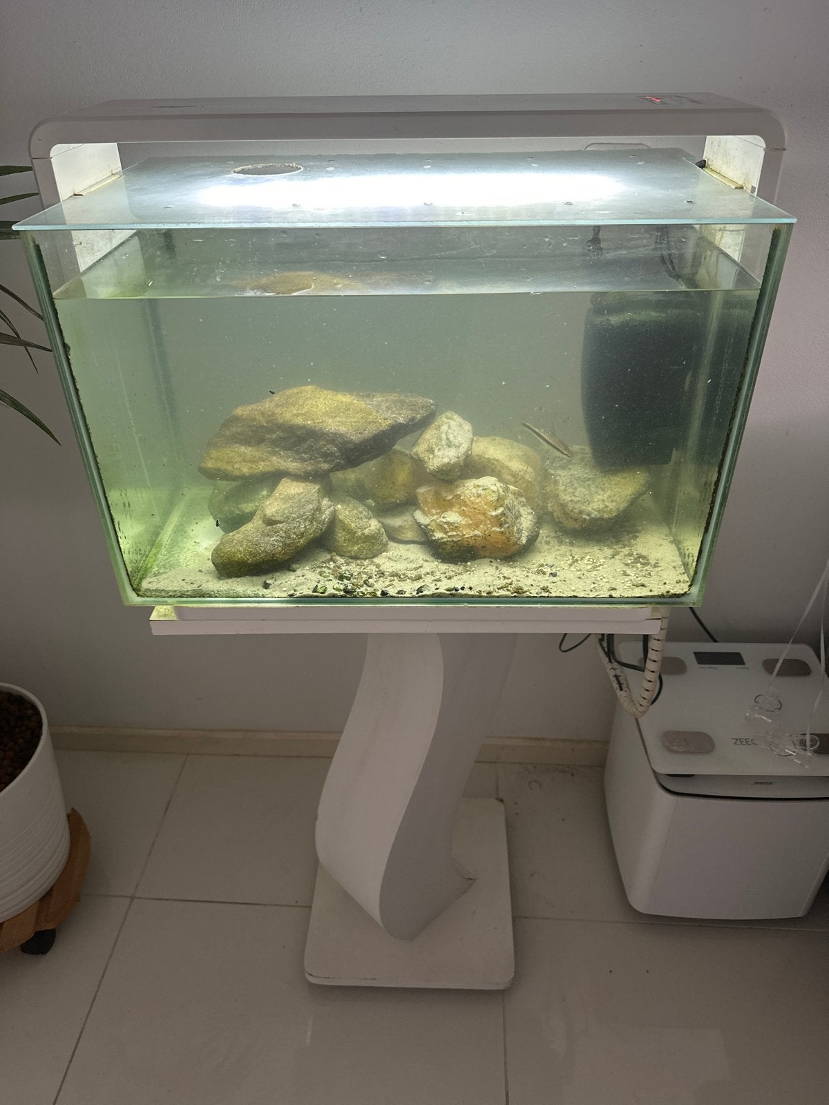 Mooie witte superfish 60 aquarium met zuil, Ophalen, Zo goed als nieuw, Leeg aquarium