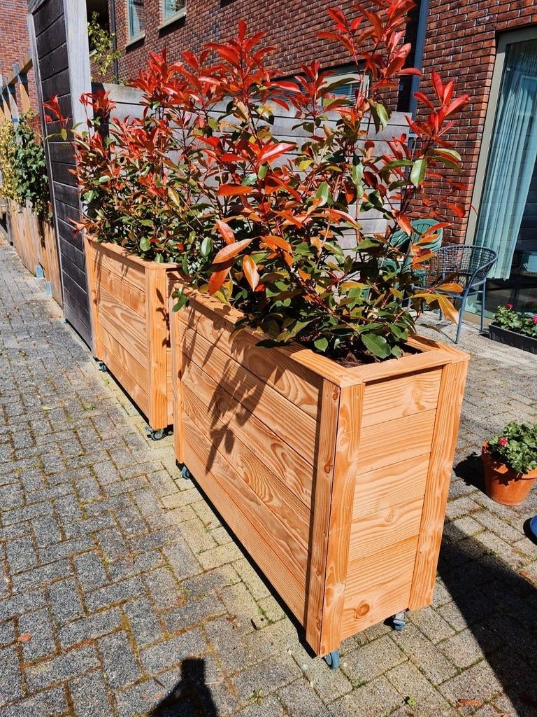 mooie douglas bloembakken, Tuin en Terras, Ophalen, Nieuw, Vierkant, Hout