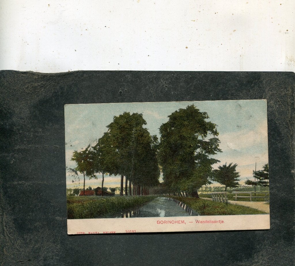Ansicht Gorinchem - Wandellaantje, Verzenden, Voor 1920, Gelopen, Zuid-Holland