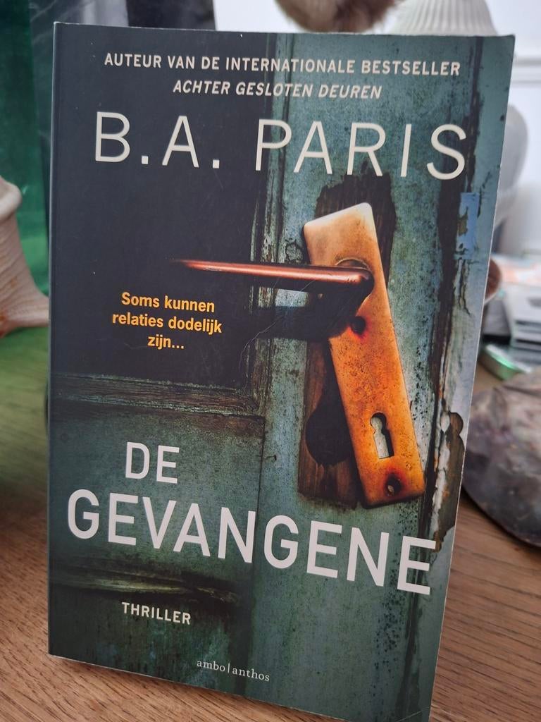 B.A. Paris - De gevangene, Boeken, Thrillers, Verzenden, Zo goed als nieuw, B.A. Paris