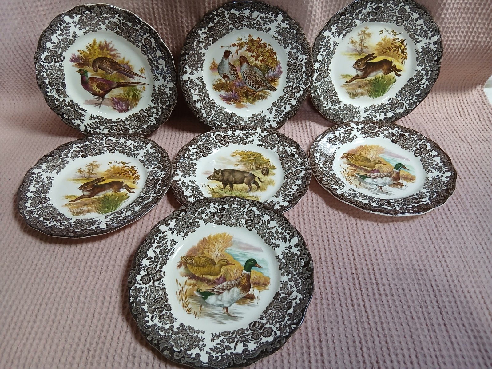 Royal Worcester Palissy ontbijtbordjes, Ophalen of Verzenden, Porselein, Overige stijlen, Bord(en)