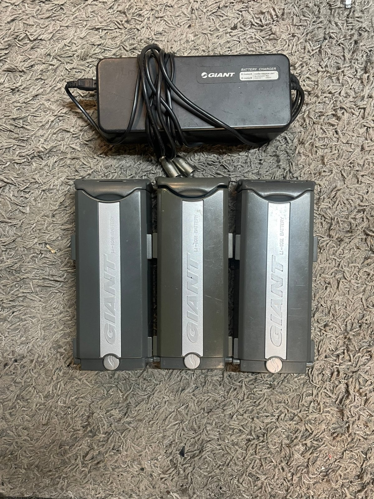 Giant 3 accu 4 pins 36 volt en oplader, Ophalen, Zo goed als nieuw