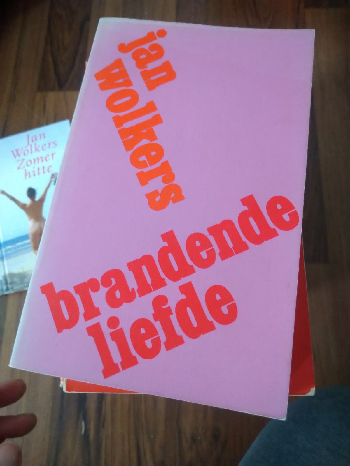 Jan Wolkers brandende liefde, Ophalen of Verzenden, Gelezen