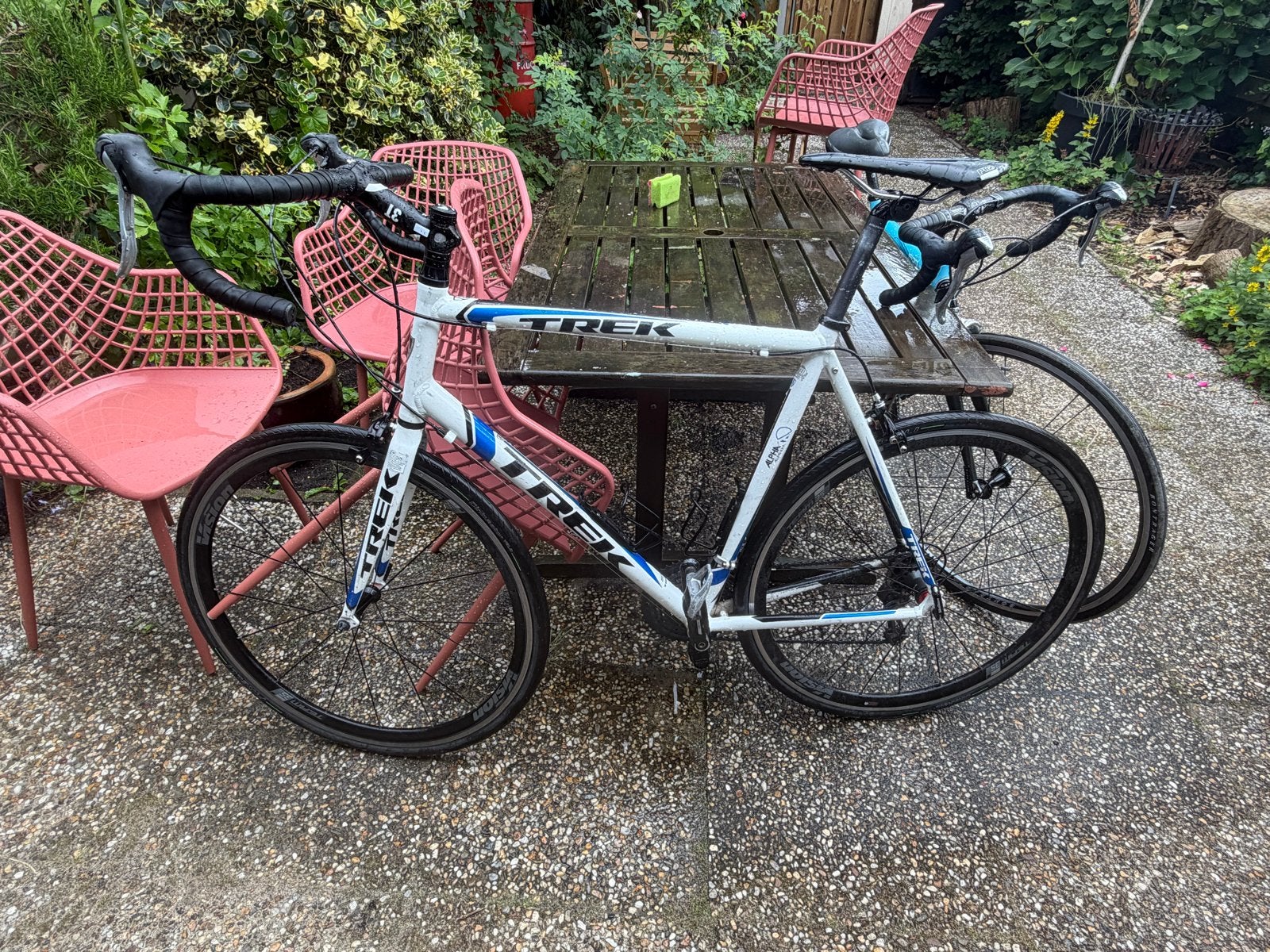 Trek heren racefiets, grote framemaat (ik ben 1.90m), Fietsen en Brommers, Fietsen | Racefietsen, Gebruikt, Heren, Aluminium, Meer dan 20 versnellingen