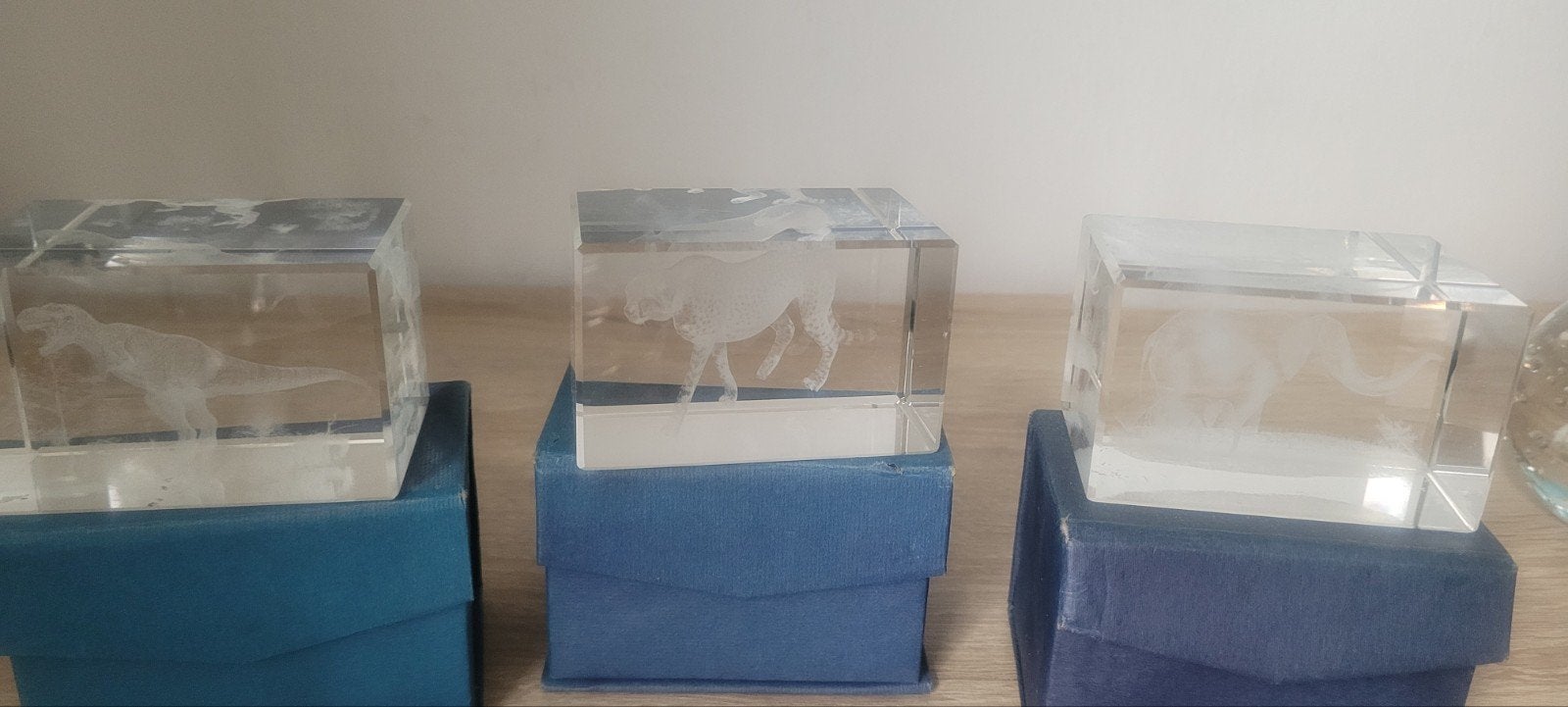 3D beeldjes met lasergegraveerde dieren, Verzamelen, Ophalen of Verzenden, Zo goed als nieuw, Overige soorten, Beeldje of Figuurtje