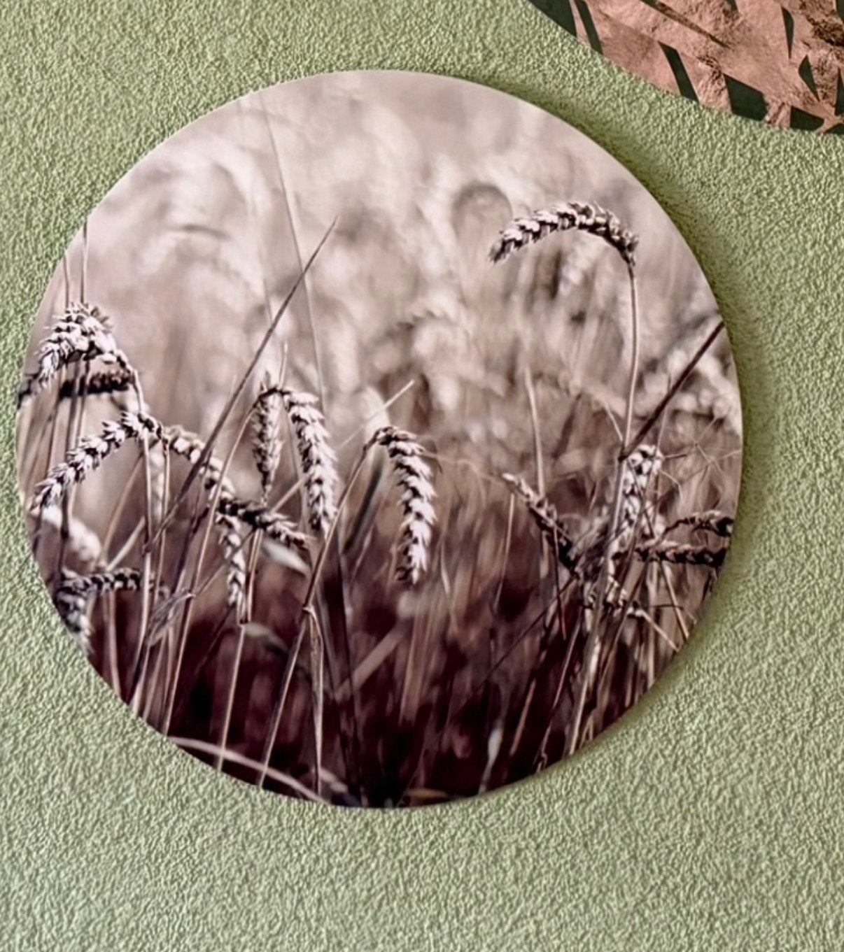 Wandcirkel met tarweveld print 40cm diameter.  forex, Ophalen, Hout, Zo goed als nieuw, Bruin