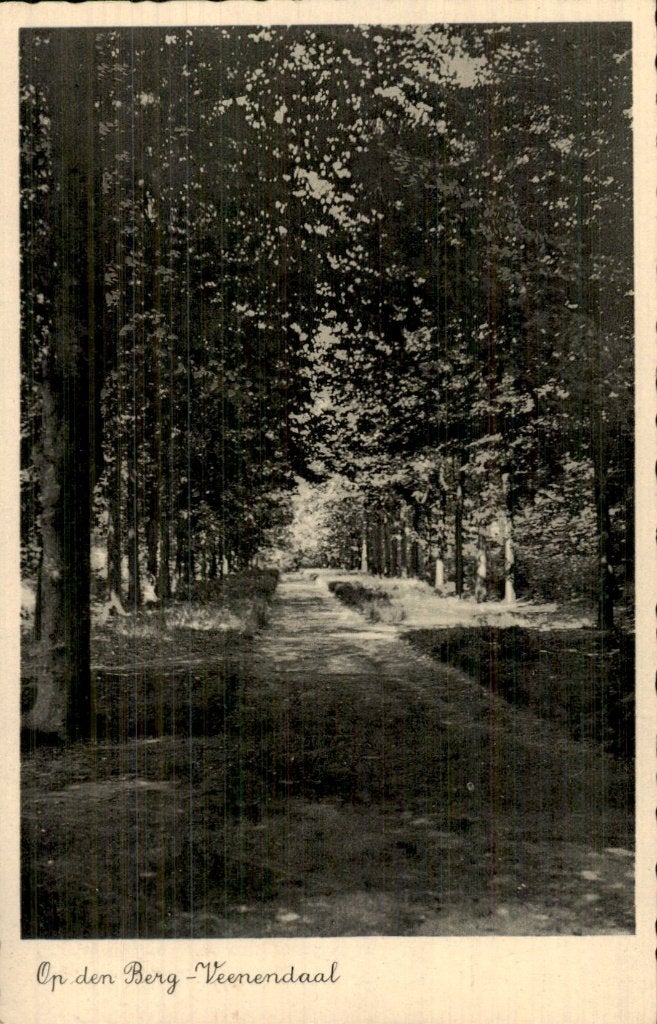 Veenendaal - Op den Berg - Gezicht, Ophalen of Verzenden, 1920 tot 1940, Gelopen, Utrecht