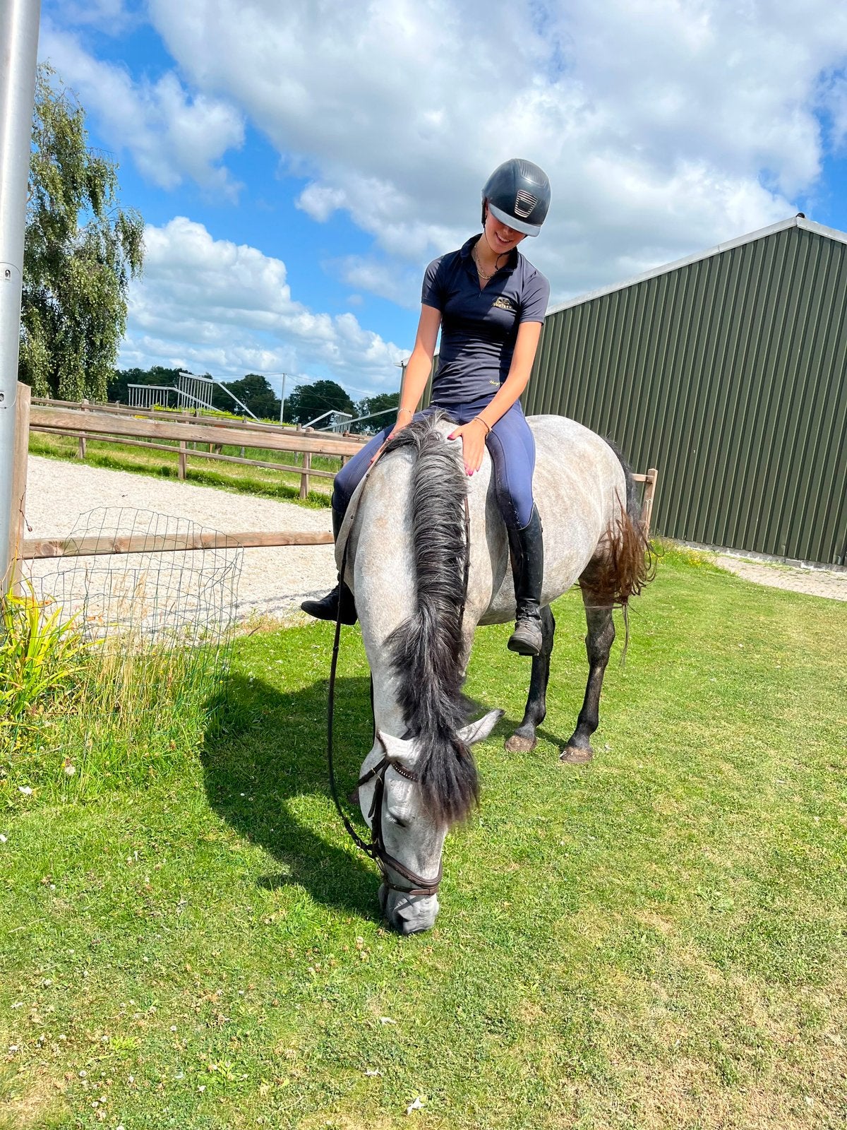 Te koop: 5 jarige D pony ., Dieren en Toebehoren, Pony's, Merrie, B, 3 tot 6 jaar, Gechipt