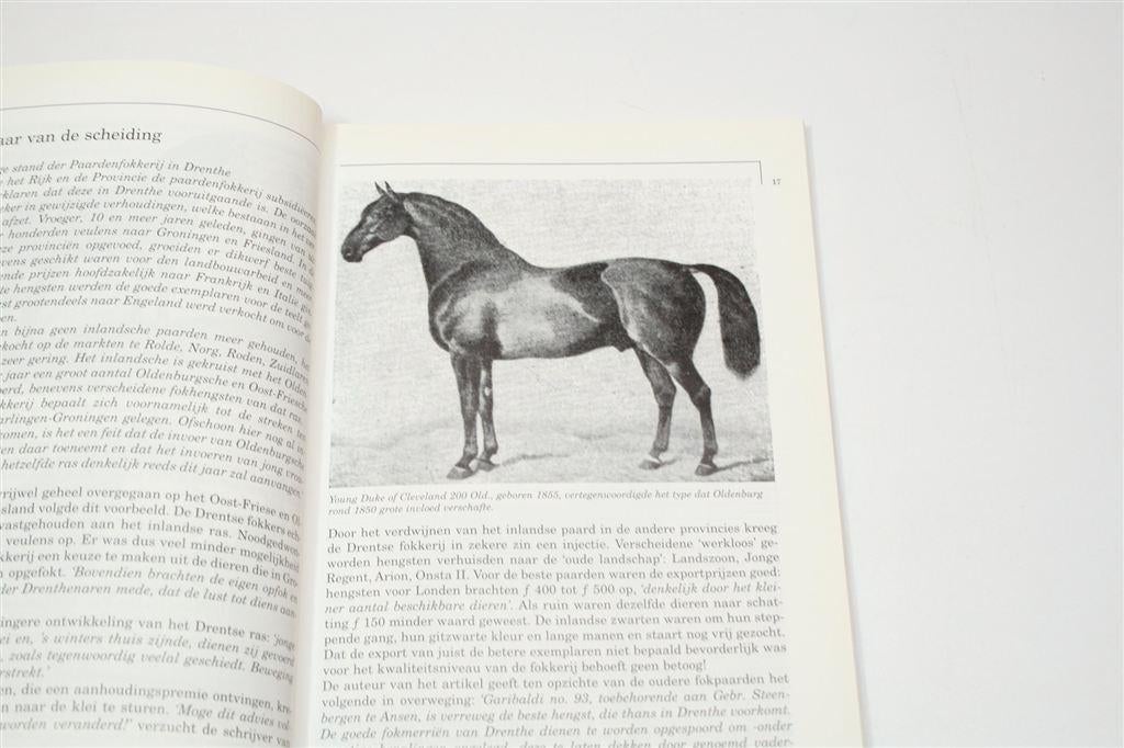 Paardenstamboek Drenthe — 100 Jaar Warmbloed KWPN, Ophalen of Verzenden, Gelezen