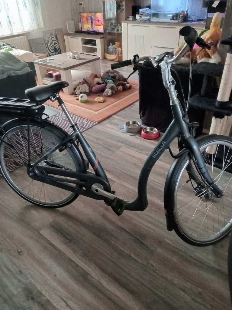 Nette ebike., Fietsen en Brommers, Elektrische fietsen, Ophalen of Verzenden, Zo goed als nieuw, Overige merken