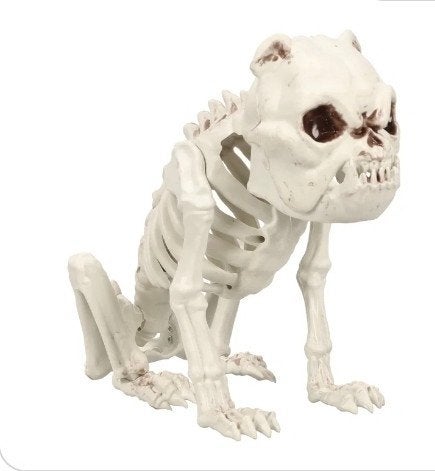 skelet bulldog hondje, Ophalen of Verzenden, Nieuw, Versiering, Halloween of Griezel