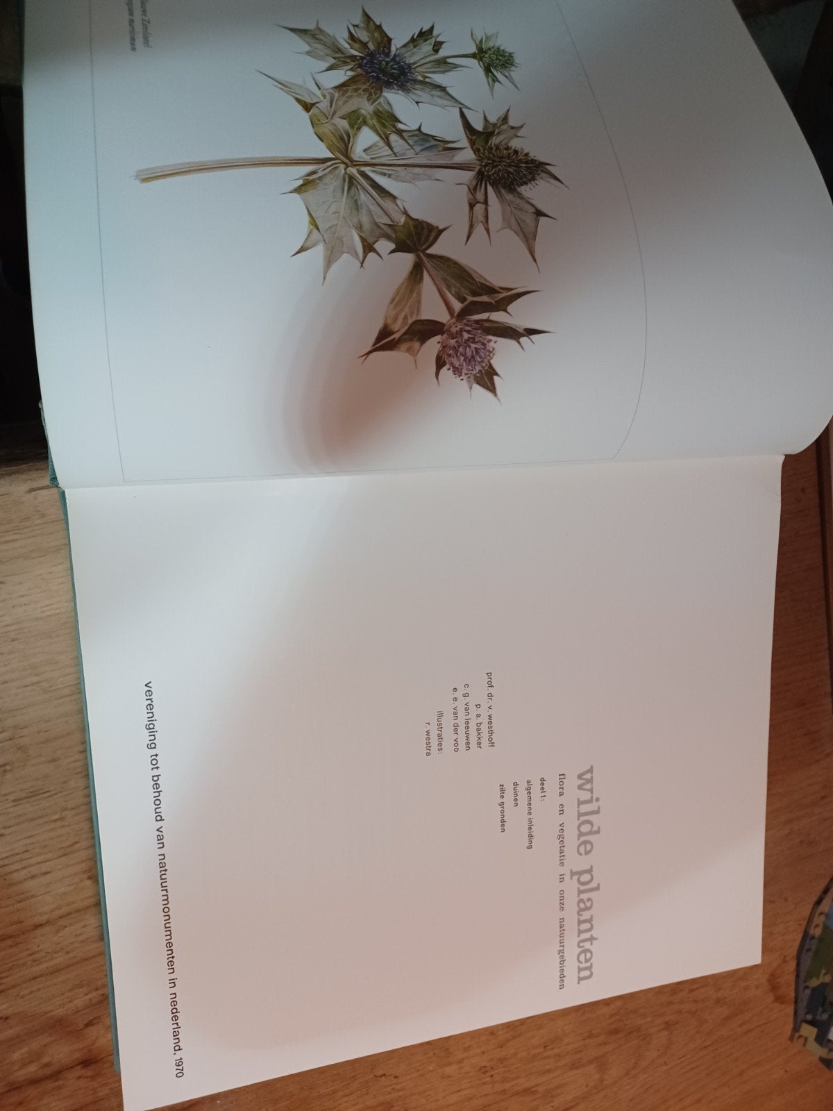 Wilde Planten - Flora en vegetatie in onze natuurgebieden, Boeken, Natuur, Ophalen, Zo goed als nieuw, Bloemen, Planten en Bomen