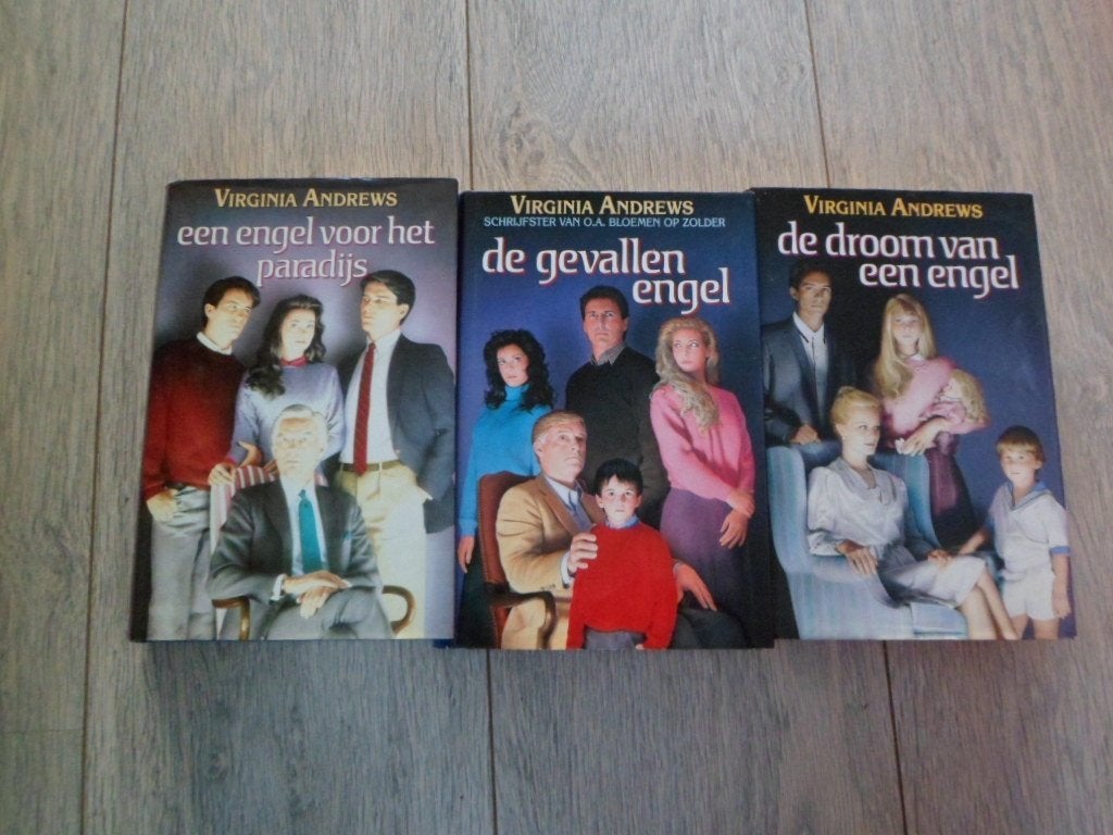 2 x Virginia Andrews (Casteel serie), Boeken, Ophalen of Verzenden, Zo goed als nieuw, Virginia Andrews, Amerika