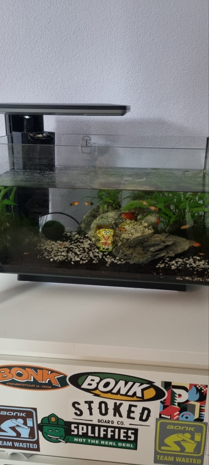 Aquariums met toebehoren, Ophalen, Zo goed als nieuw, Leeg aquarium