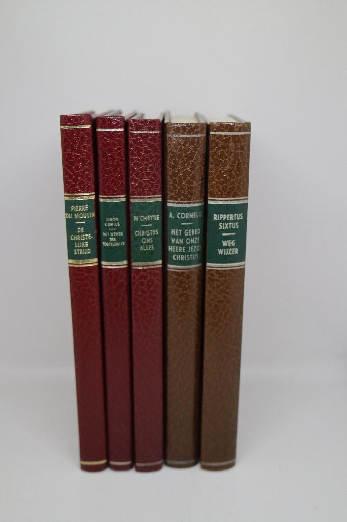 Wegwijzer - Rippertus Sixtus (1975), Ophalen of Verzenden, Gelezen