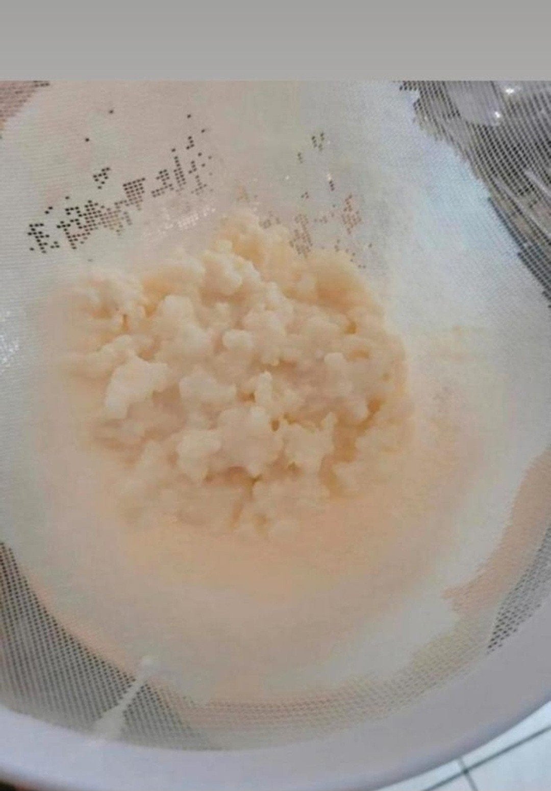 Tibitaanse Kefir groeit op rauwe boeren melk, Verzenden