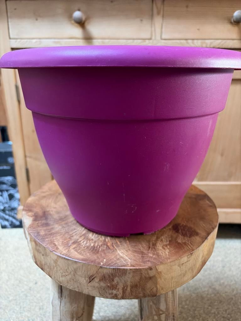Elho plantenbak paars - 30 cm diameter, 7.1 liter, Tuin en Terras, Kunststof, Gebruikt, Minder dan 30 cm, Minder dan 60 cm