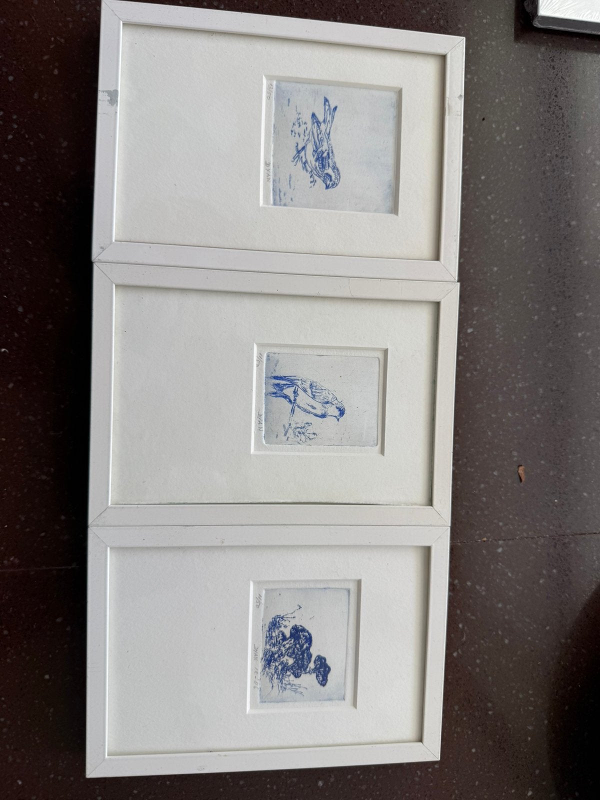 3 originele mini-etsen prenten Vogels & Natuur)– Dyan (1986), Antiek en Kunst, Kunst | Etsen en Gravures, Ophalen