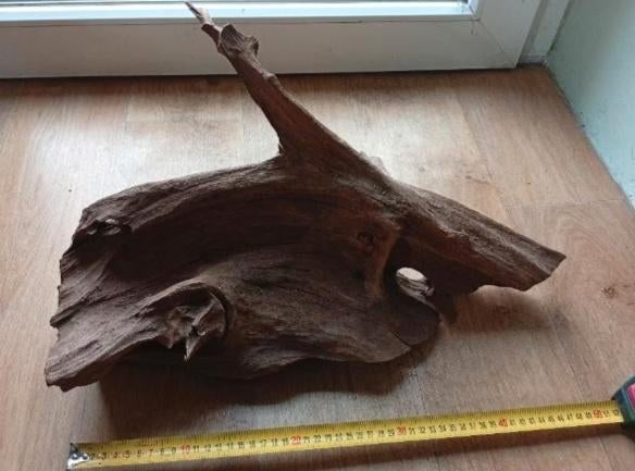 Kienhout, Ophalen, Zo goed als nieuw, Plant(en), Steen of Hout