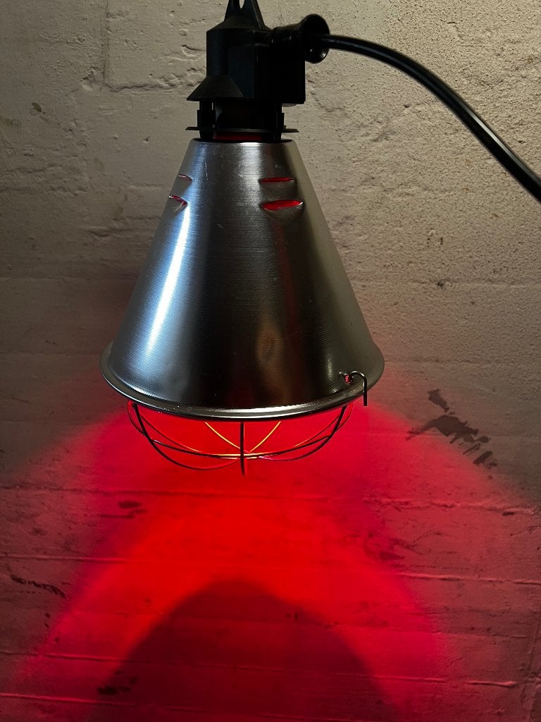 Warmtelamp voor dieren, Ophalen, Zo goed als nieuw, Kooi-accessoires