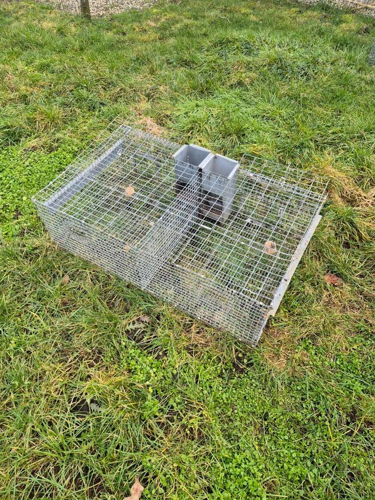 Hokken 10 stuks, Dieren en Toebehoren, Ophalen, Gebruikt