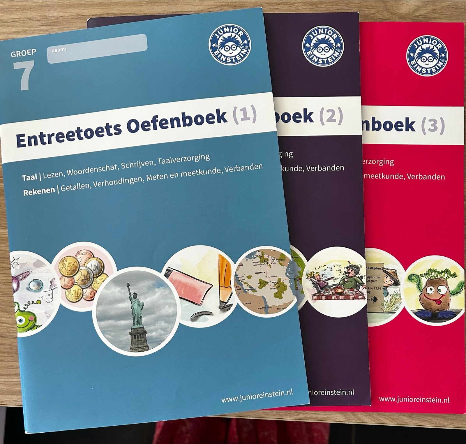 Junior Einstein Oefenboeken Cito/Entreetoets Groep 6, 7, 8, Ophalen, Zo goed als nieuw, Overige niveaus, Overige vakken