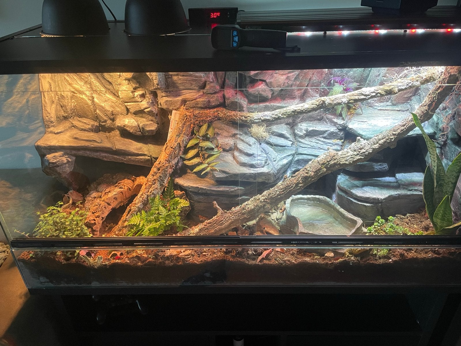Terrarium 120x50x60 incl meubel en veel extra’s, Ophalen, Zo goed als nieuw