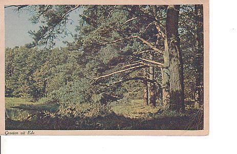 Ansichtkaart	Ede	bos, Verzenden, 1940 tot 1960, Gelopen, Gelderland