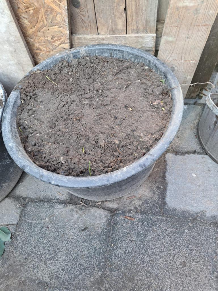 Gratis specikuip zwarte tuingrond direct af tehalen, Tuin en Terras, Ophalen, Overige typen