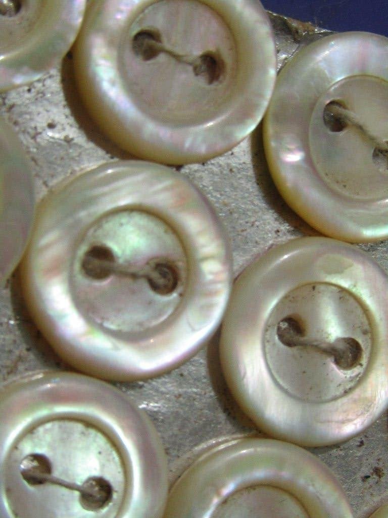 Vintage Parelmoer Knopen - 15mm, Verzenden, Nieuw, Knoop of Knopen