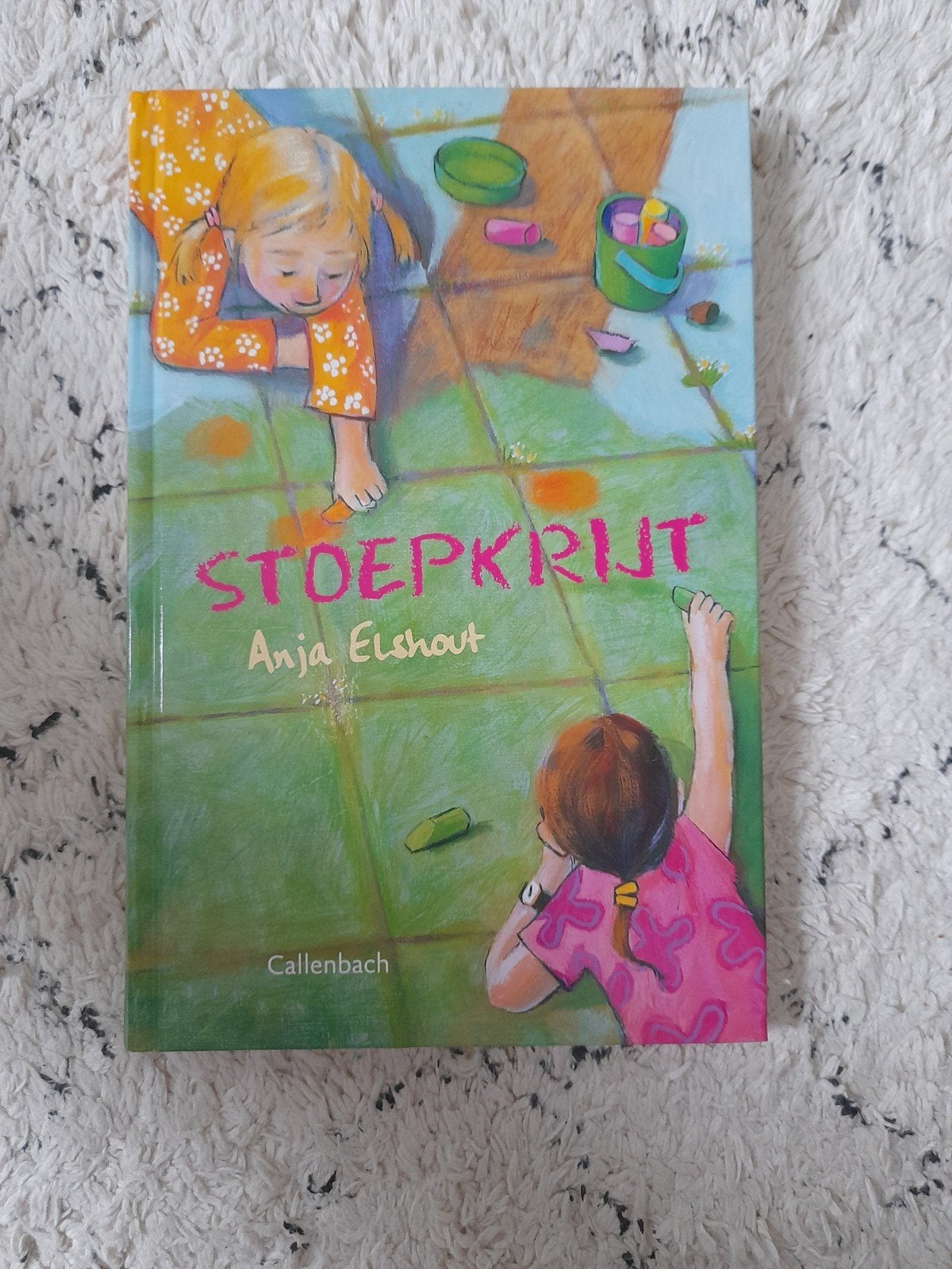 Stoepkrijt - Anja Elshout, Ophalen of Verzenden, Zo goed als nieuw