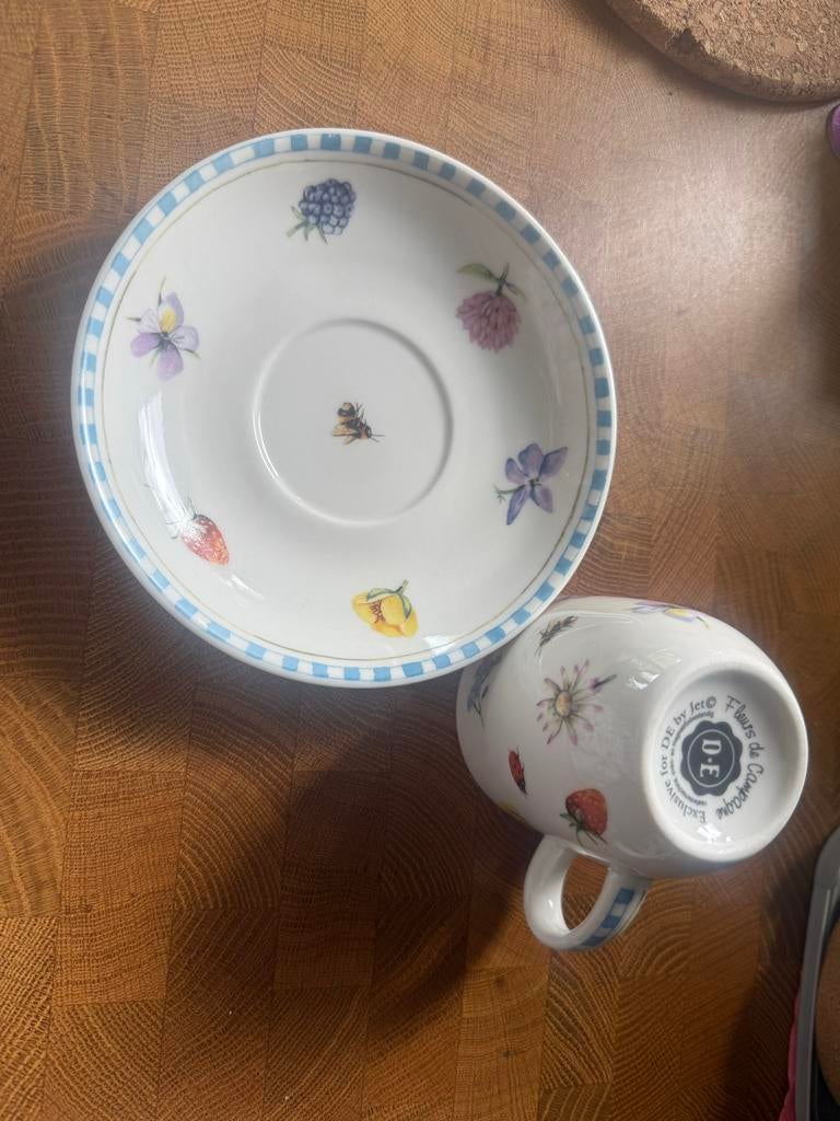 Kop en schotel met bloemen en insecten, Gebruikt, Ophalen of Verzenden, Overige stijlen, Kop(pen) en/of Schotel(s)