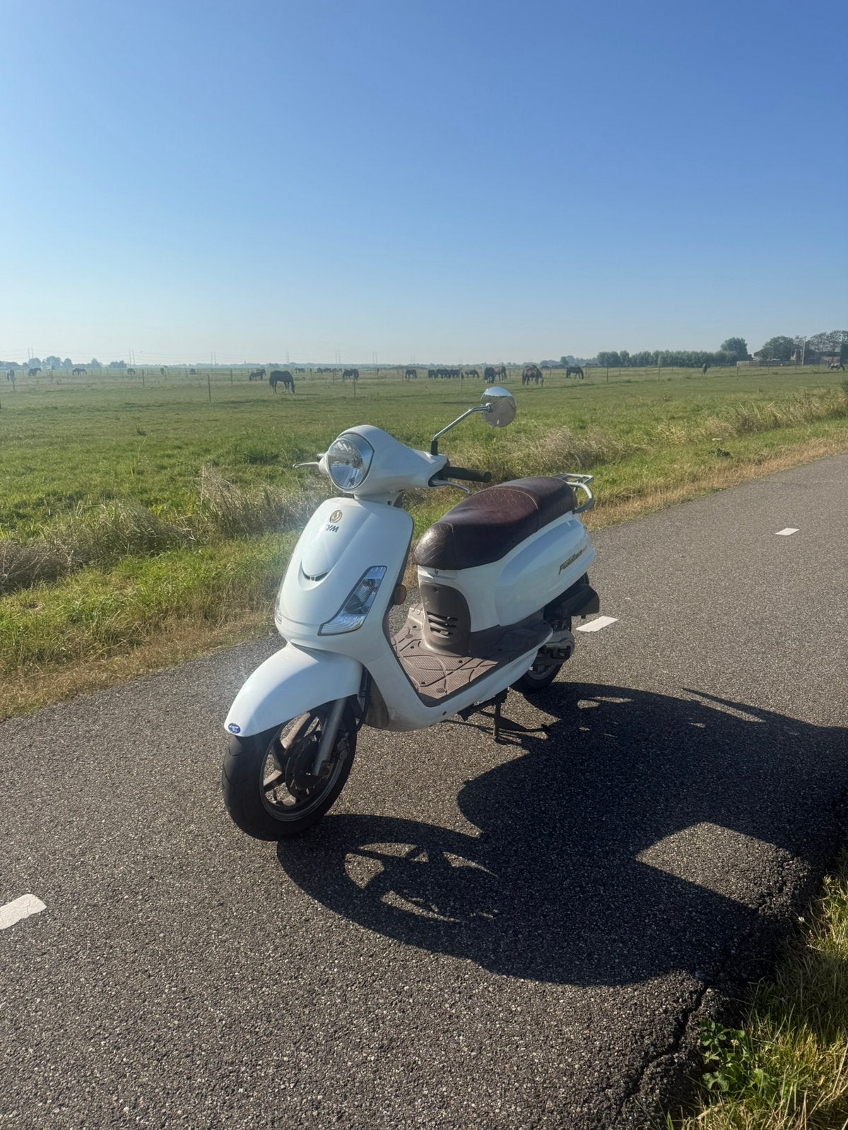 Sym fiddle 2, Ophalen, Zo goed als nieuw, Benzine, Overige modellen
