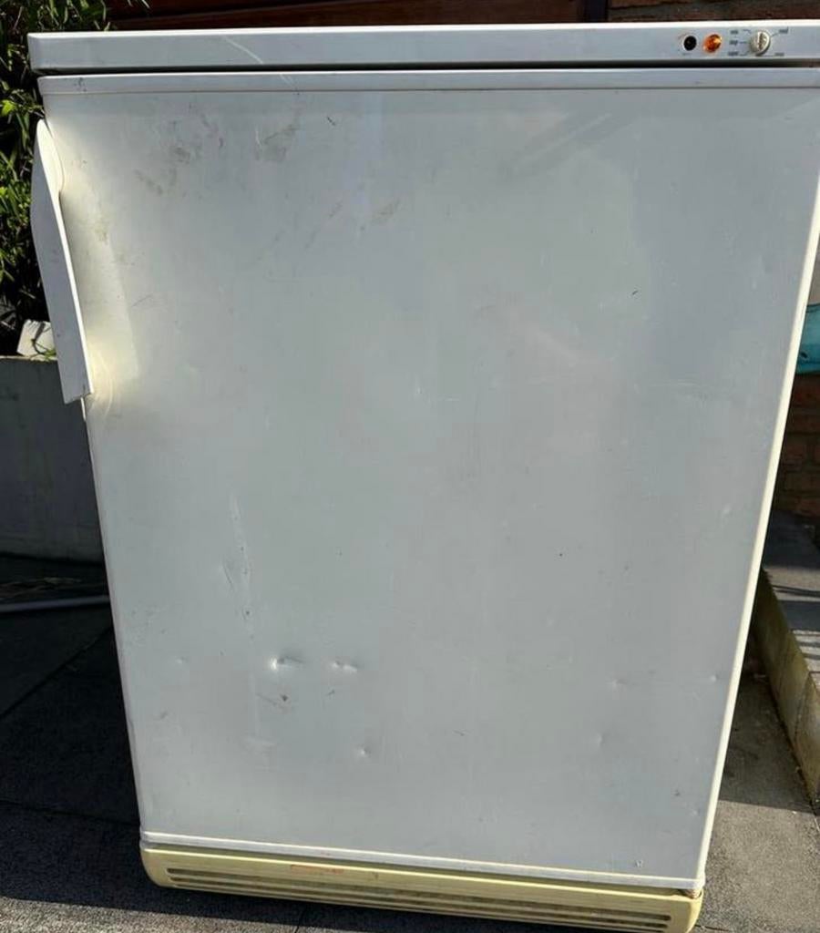 Vrijstaande vrieskist - Danfoss TLX7KK, Witgoed en Apparatuur, Vriezers en Diepvrieskisten, Gebruikt, Ophalen, Vrieskast, 85 tot 120 cm