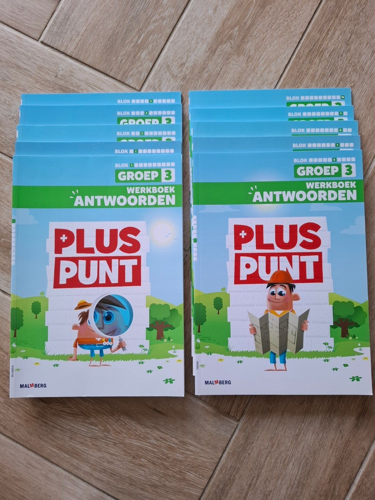 Nakijkboeken Pluspunt Groep 3 - Zo goed als nieuw, Ophalen of Verzenden, Zo goed als nieuw, Overige niveaus, Overige vakken