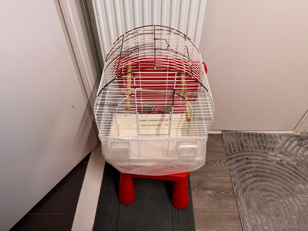 Vogel kooi, Ophalen, Zo goed als nieuw, Metaal, Vogelkooi